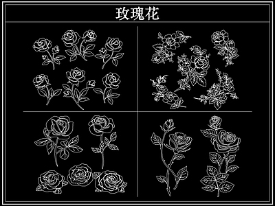 花 玫瑰花卉