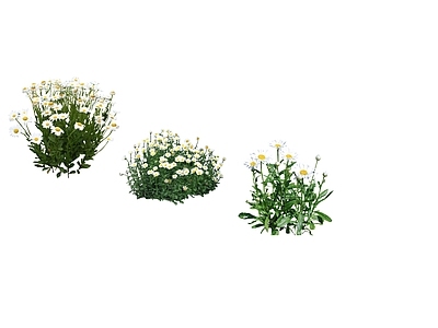 花草