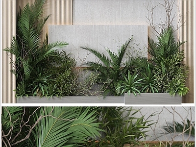 现代简约植物堆