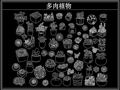 绿植 多肉植物盆栽盆景