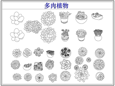 绿植 多肉植物盆栽盆景