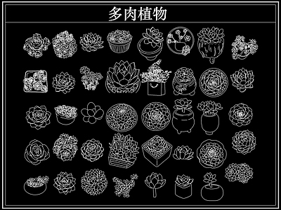 绿植 多肉植物盆栽盆景
