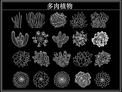 绿植 多肉植物盆栽盆景