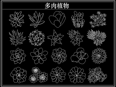 绿植 多肉植物盆栽盆景