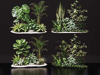 现代花境 2D室内植物组团 热带植物组团 花卉花镜 花草植物组合 花草花丛