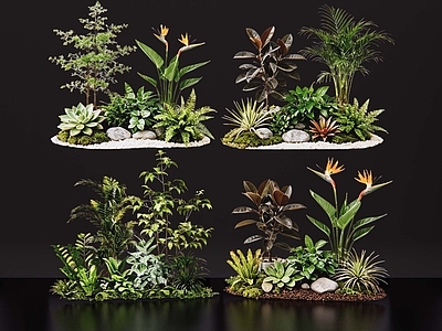 现代花境 2D室内植物组团 热带植物组团 花卉花镜 花草植物组合 花草花丛