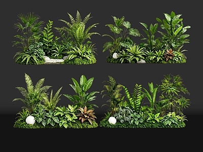 现代花境 2D室内植物组团 热带植物组团 花卉花镜 花草植物组合 花草花丛
