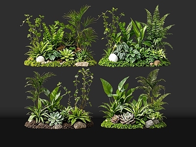 现代花境 2D室内植物组团 热带植物组团 花卉花镜 花草植物组合 花草花丛
