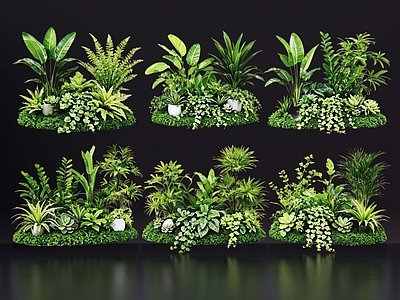 现代花境 2D室内植物组团 热带植物组团 花卉花镜 花草植物组合 花草花丛
