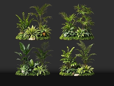 现代花境 2D室内植物组团 热带植物组团 花卉花镜 花草植物组合 花草花丛