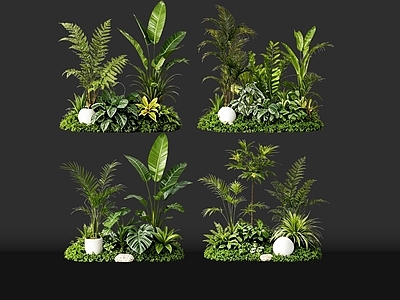 现代花境 2D室内植物组团 热带植物组团 花卉花镜 花草植物组合 花草花丛