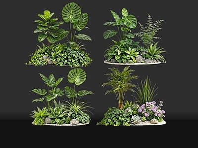 现代花境 2D室内植物组团 热带植物组团 花卉花镜 花草植物组合 花草花丛