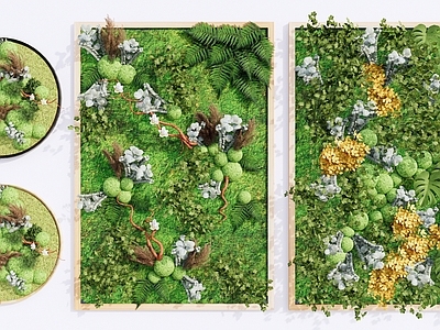 现代绿植摆件 苔藓植物墙 绿植装饰墙 垂直绿化 微景观植物挂画 壁挂植物