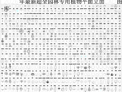 绿植