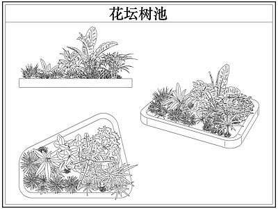 乔木种植 花坛树池灌木