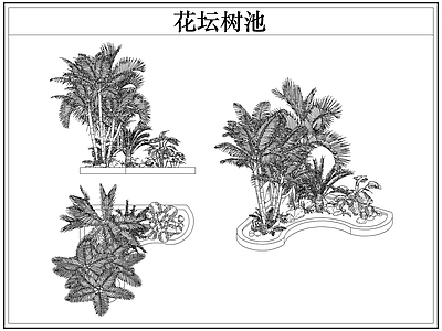 灌木种植 花坛树池灌木