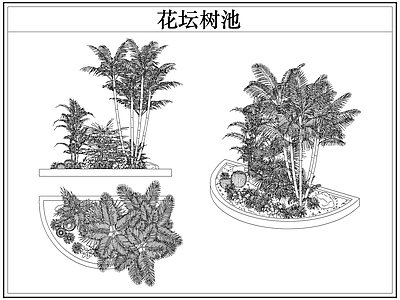 灌木种植 花坛树池灌木