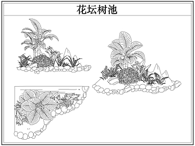灌木种植 花坛树池灌木