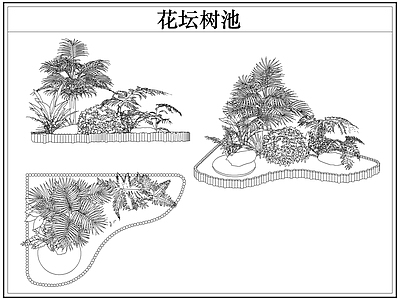 灌木种植 花坛树池灌木