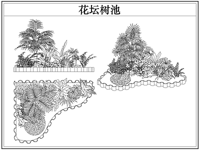 灌木种植 花坛树池灌木