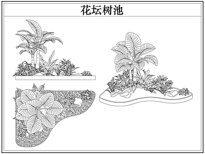 灌木种植 花坛树池灌木
