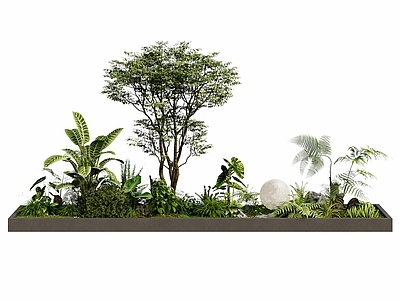 禅意植物堆 室内景观