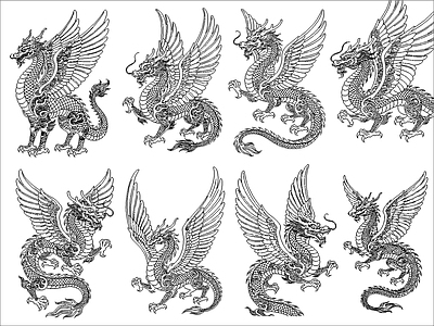 其他图库 翼龙