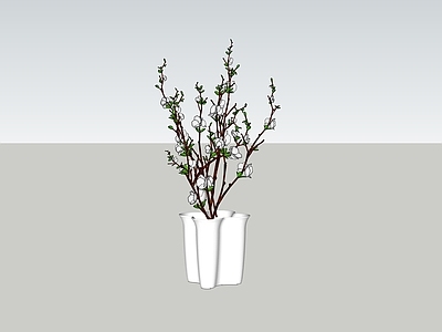 极简草本植物 植物草本盆栽