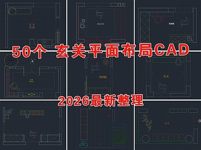 玄关 入口玄关 鞋柜 玄关柜 门厅 玄关布局