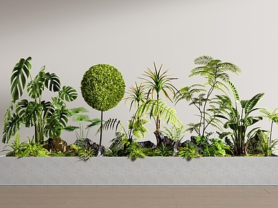 现代植物堆 花池 花坛 花箱 花草 景观造景