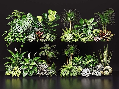 现代花境 2D室内植物组团 花境植物组团 花卉花镜 花草镜植物组合 花草花丛