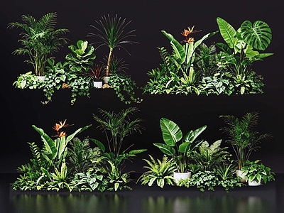 现代花境 2D室内植物组团 花境植物组团 花卉花镜 花草镜植物组合 花草花丛