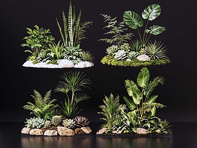 现代花境 2D室内植物组团 花境植物组团 花卉花镜 花草镜植物组合 花草花丛