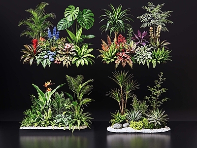 现代花境 2D室内植物组团 花境植物组团 花卉花镜 花草镜植物组合 花草花丛