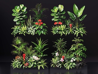 现代花境 2D室内植物组团 花境植物组团 花卉花镜 花草镜植物组合 花草花丛