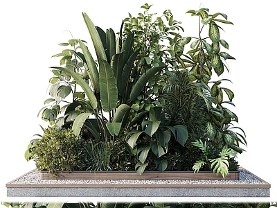 现代植物堆
