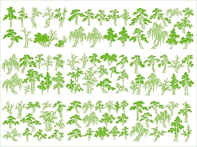 乔木种植 绿植乔木