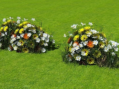 现代花草组合