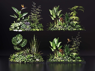 现代花境 2D室内植物组团 花境植物组团 花卉花镜 花草镜植物组合 花草花丛