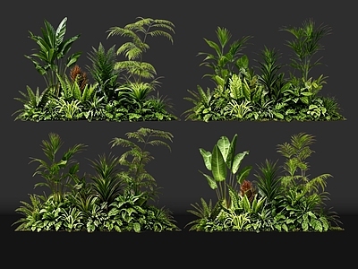 现代花境 2D室内植物组团 花境植物组团 花卉花镜 花草镜植物组合 花草花丛