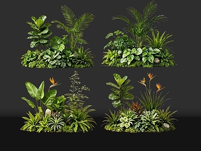 现代花境 2D室内植物组团 花境植物组团 花卉花镜 花草镜植物组合 花草花丛
