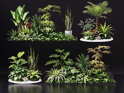 现代花境 2D室内植物组团 花境植物组团 花卉花镜 花草镜植物组合 花草花丛