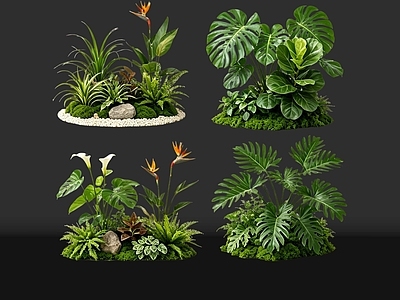 现代花境 2D室内植物组团 花境植物组团 花卉花镜 花草镜植物组合 花草花丛