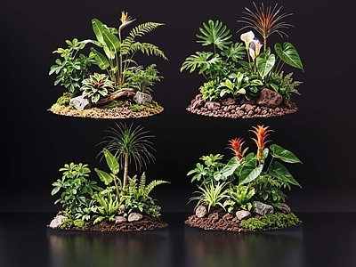 现代花境 2D室内植物组团 花境植物组团 花卉花镜 花草镜植物组合 花草花丛
