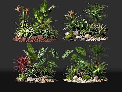 现代花境 2D室内植物组团 花境植物组团 花卉花镜 花草镜植物组合 花草花丛