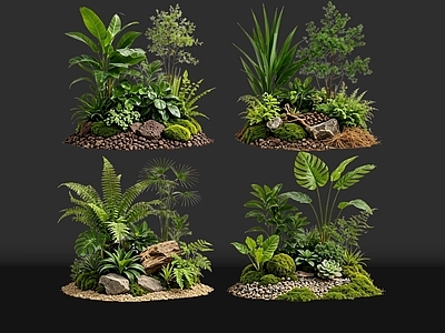 禅意花境 2D室内植物组团 花境植物组团 花卉花镜 花草镜植物组合 花草花丛