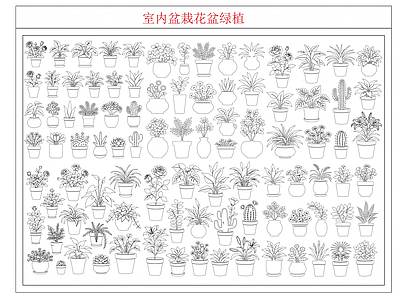 绿植 盆栽