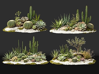 极简沙漠植物 2D仙人掌组合 多肉植物 仙人球 沙漠植物造景 景观植物