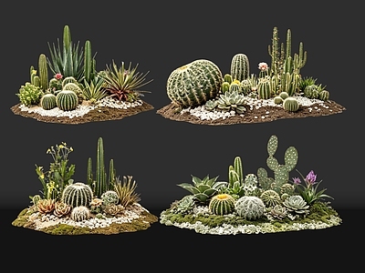 极简多肉植物 2D仙人掌组合 多肉植物 仙人球 沙漠植物造景 景观植物