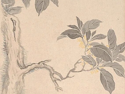 其他挂画